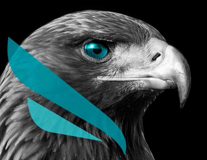 Falcon